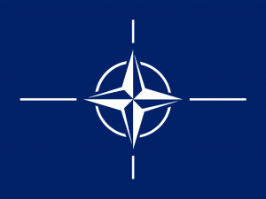 Vad skall vi i Nato att göra?